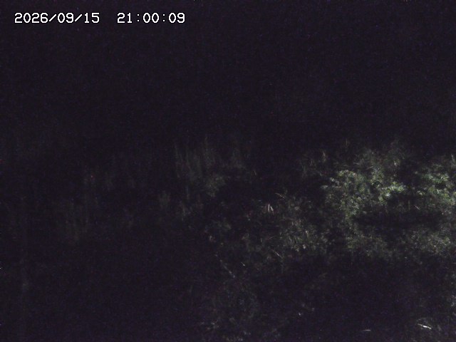 日置川３2026/09/16 16:30
