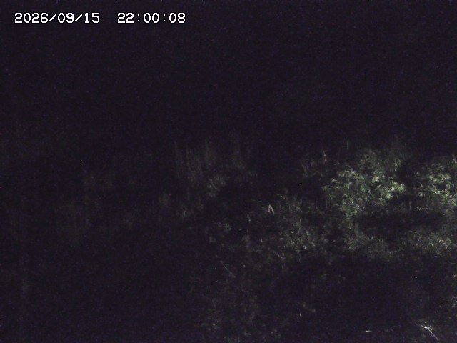 日置川３2026/09/16 16:30