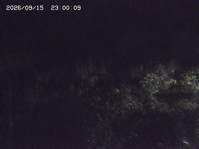 日置川３2026/09/16 16:30