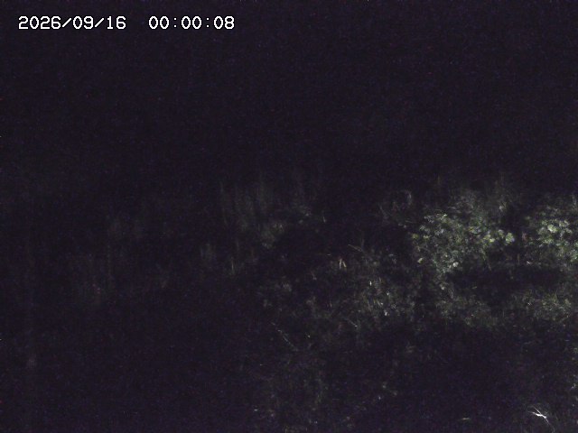 日置川３2026/09/16 16:30