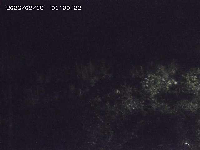 日置川３2026/09/16 16:30
