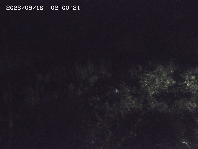 日置川３2026/09/16 16:30