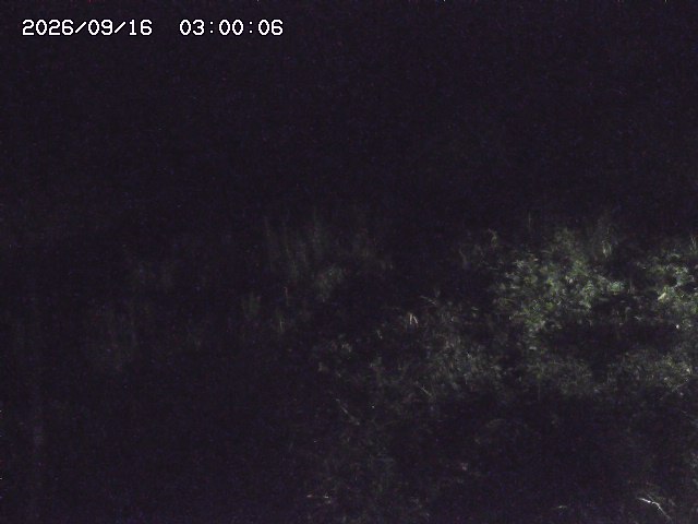 日置川３2026/09/16 16:30