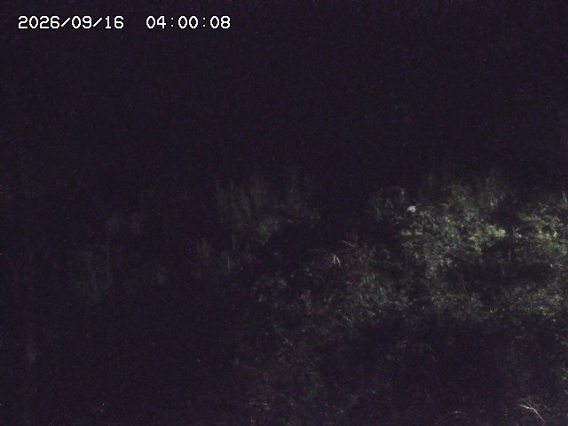 日置川３2026/09/16 16:30