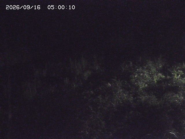 日置川３2026/09/16 16:30