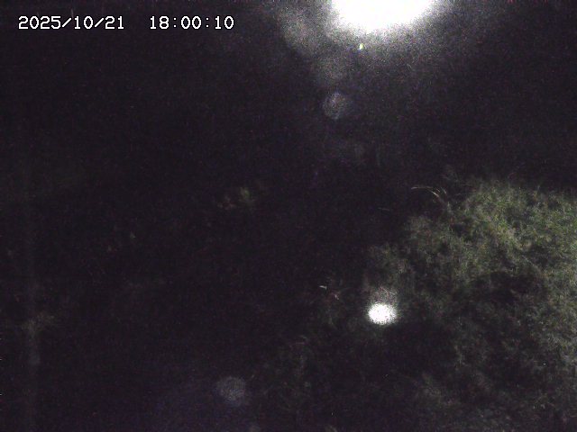 日置川３2025/10/22 11:10