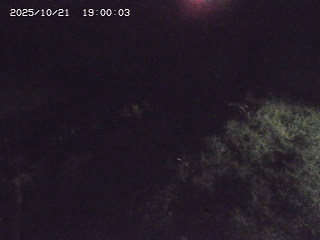 日置川３2025/10/22 11:10