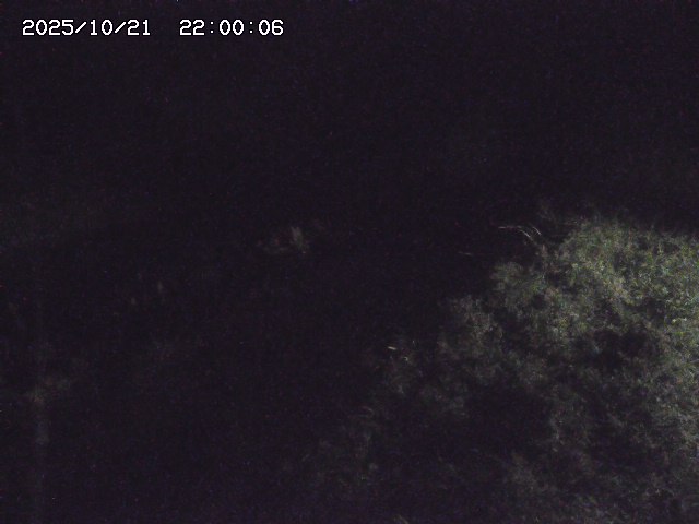 日置川３2025/10/22 11:10