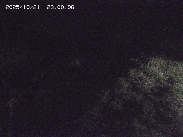 日置川３2025/10/22 11:10