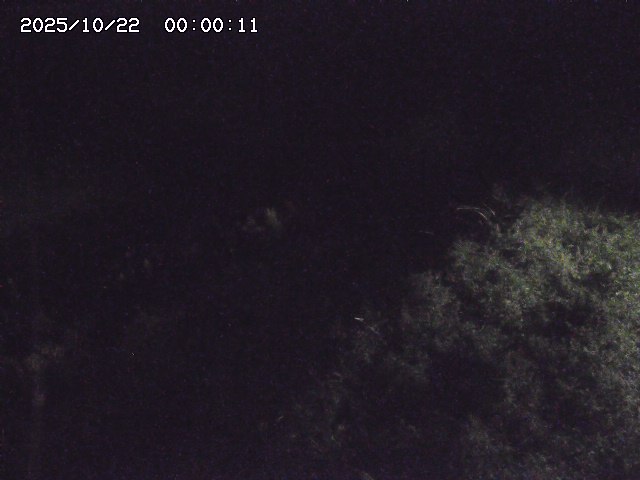 日置川３2025/10/22 11:10