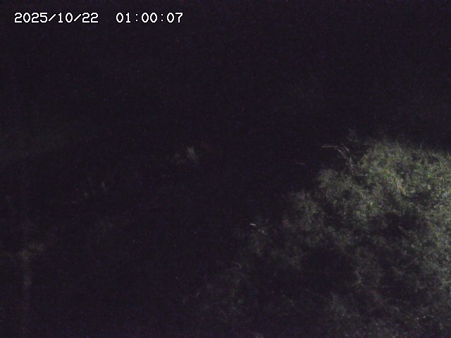日置川３2025/10/22 11:10