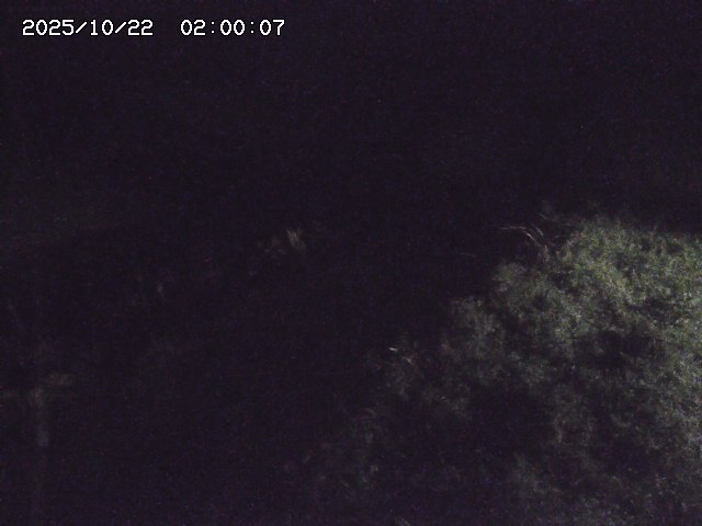 日置川３2025/10/22 11:10