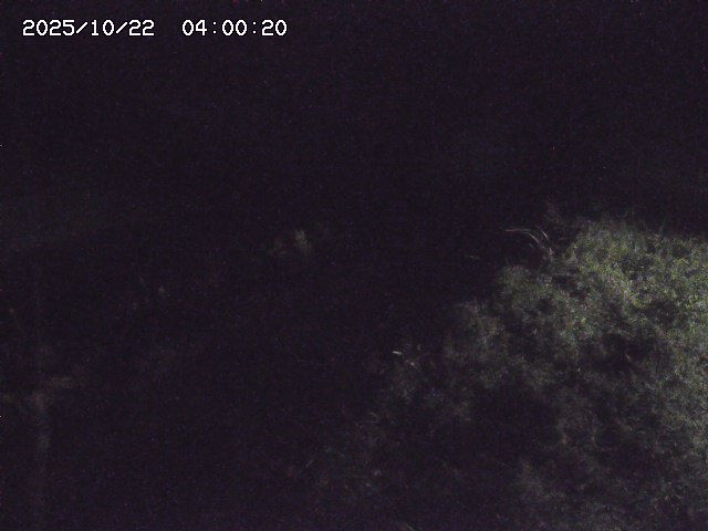 日置川３2025/10/22 11:10