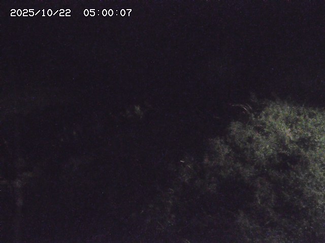 日置川３2025/10/22 11:10