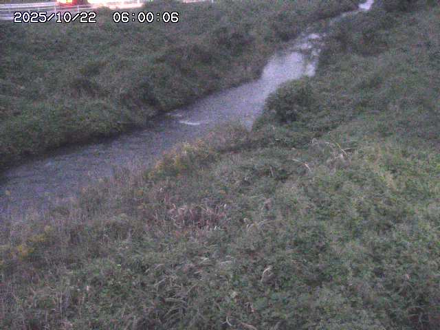 日置川３2025/10/22 11:10