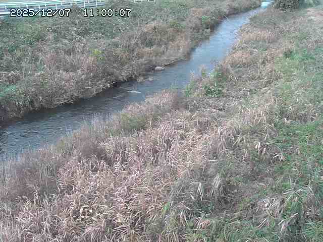 日置川３2025/12/08 11:20
