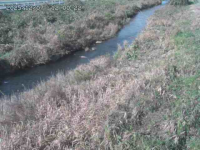 日置川３2025/12/08 11:20