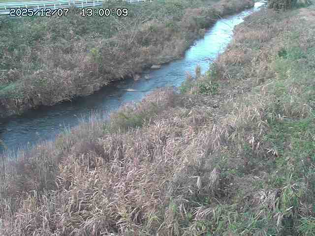 日置川３2025/12/08 11:20
