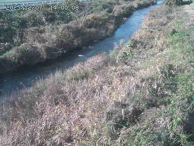 日置川３2025/12/08 11:20