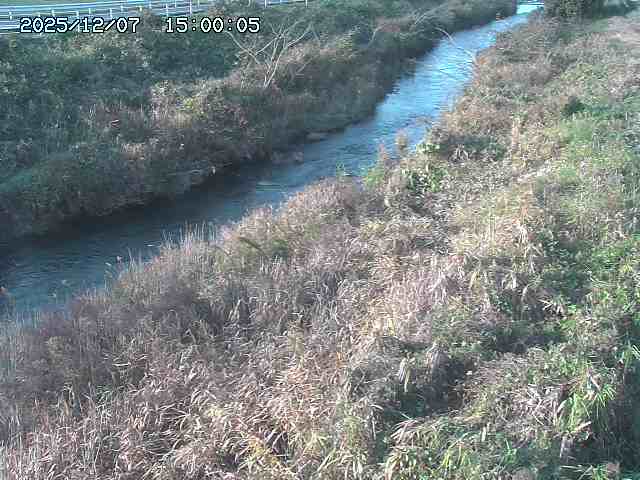 日置川３2025/12/08 11:20