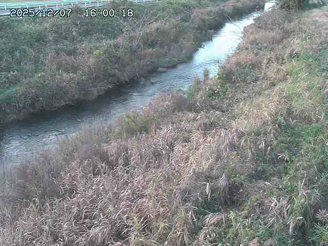 日置川３2025/12/08 11:20