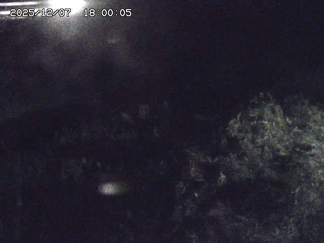 日置川３2025/12/08 11:20