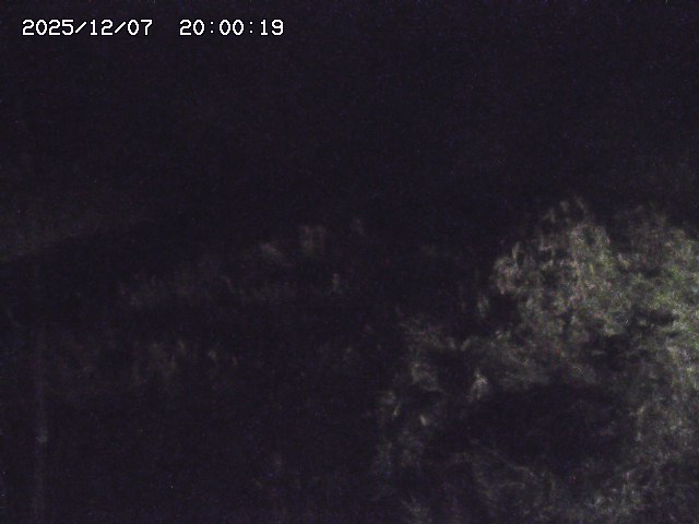 日置川３2025/12/08 11:20