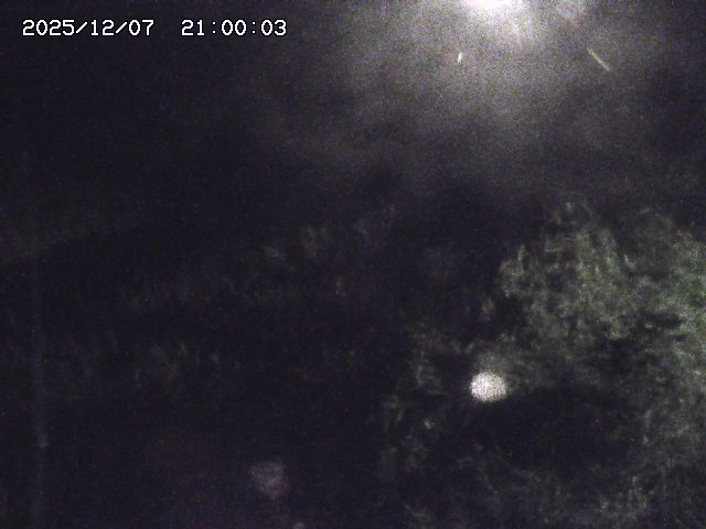 日置川３2025/12/08 11:20