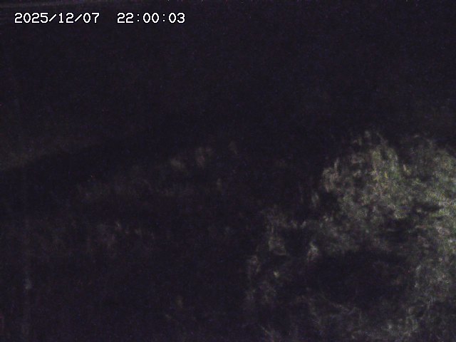 日置川３2025/12/08 11:20