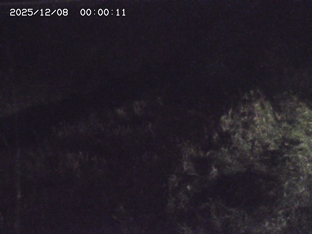日置川３2025/12/08 11:20