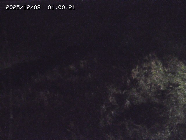 日置川３2025/12/08 11:20