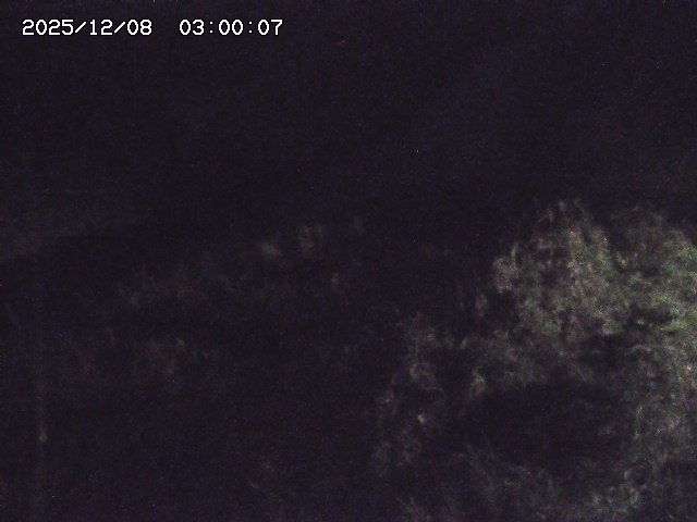 日置川３2025/12/08 11:20