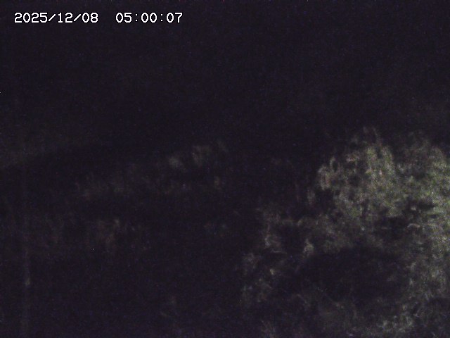 日置川３2025/12/08 11:20