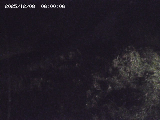 日置川３2025/12/08 11:20