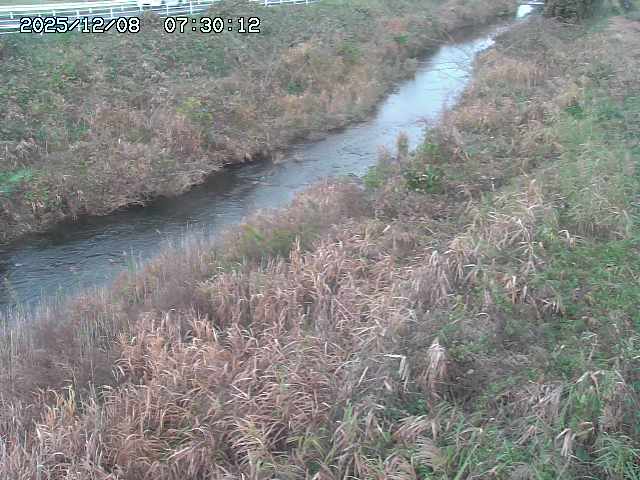 日置川３2025/12/08 11:20
