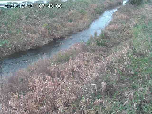 日置川３2025/12/08 11:20