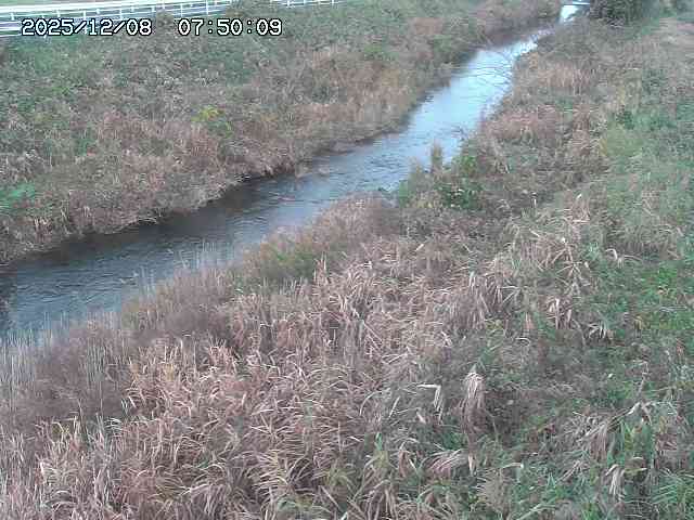 日置川３2025/12/08 11:20