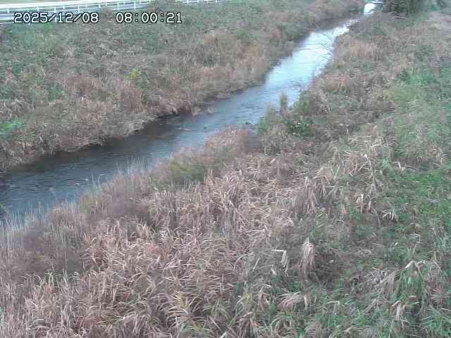 日置川３2025/12/08 11:20