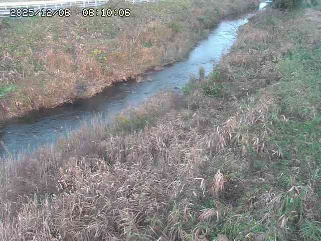 日置川３2025/12/08 11:20