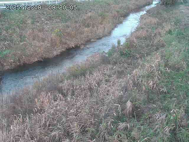 日置川３2025/12/08 11:20