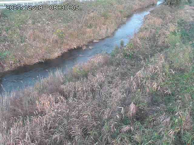 日置川３2025/12/08 11:20