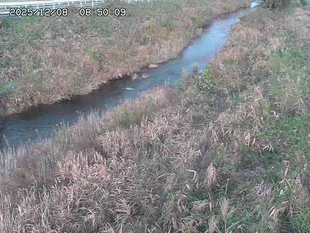 日置川３2025/12/08 11:20