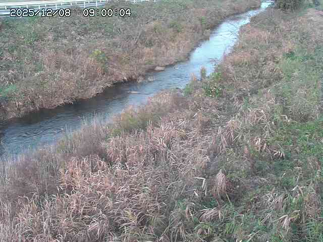 日置川３2025/12/08 11:20