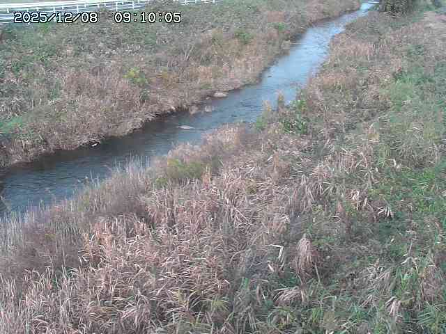 日置川３2025/12/08 11:20