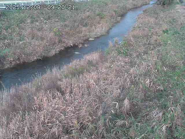 日置川３2025/12/08 11:20