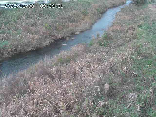 日置川３2025/12/08 11:20