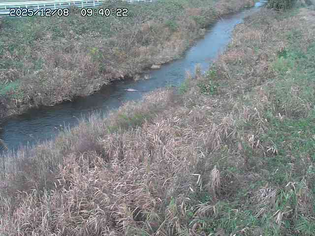 日置川３2025/12/08 11:20