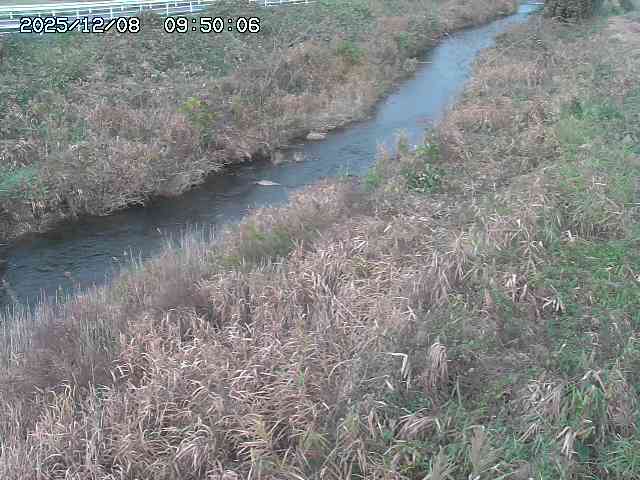 日置川３2025/12/08 11:20