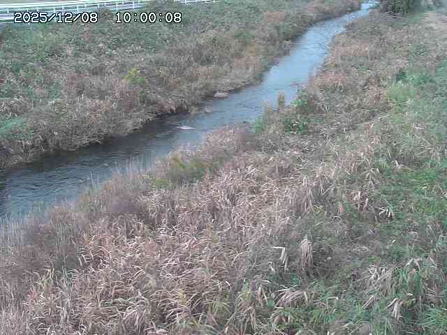 日置川３2025/12/08 11:20
