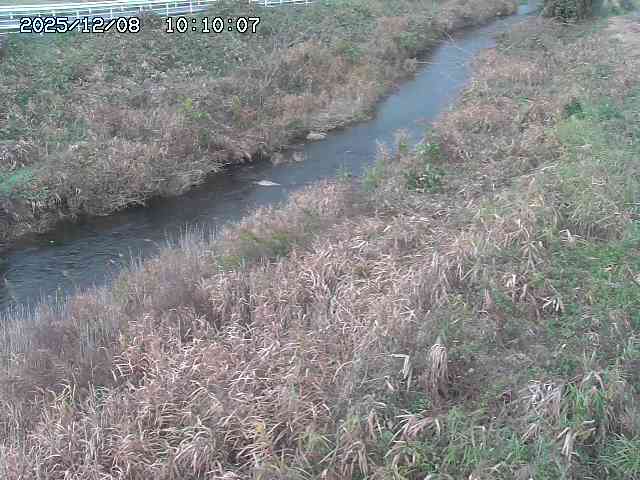 日置川３2025/12/08 11:20